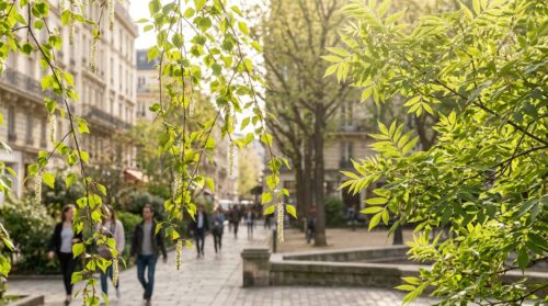 Allergies de printemps : ces 3 arbres à surveiller selon les spécialistes du pollen en Île-de-France