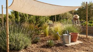 Jardin : 4 conseils simples pour protéger votre coin ensoleillé de la sécheresse cet été